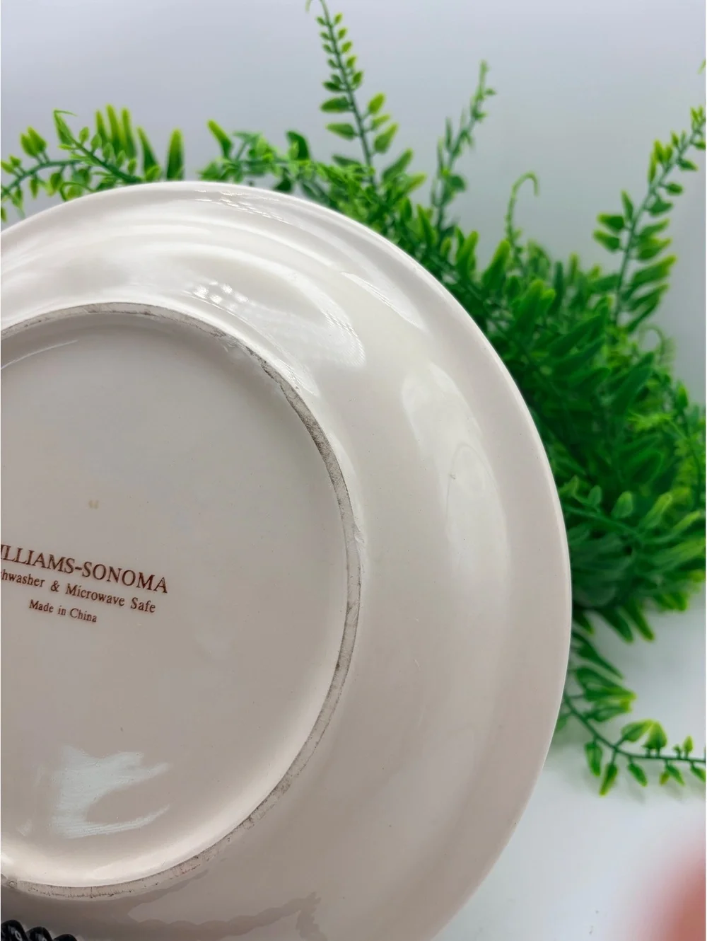 Williams Sonoma breakfast plate. No damage.